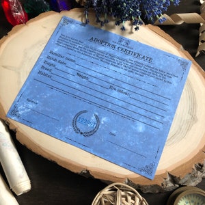 Witch and Wizard Familiar Adoption Certificate, Familiar Certificate, Instant Download