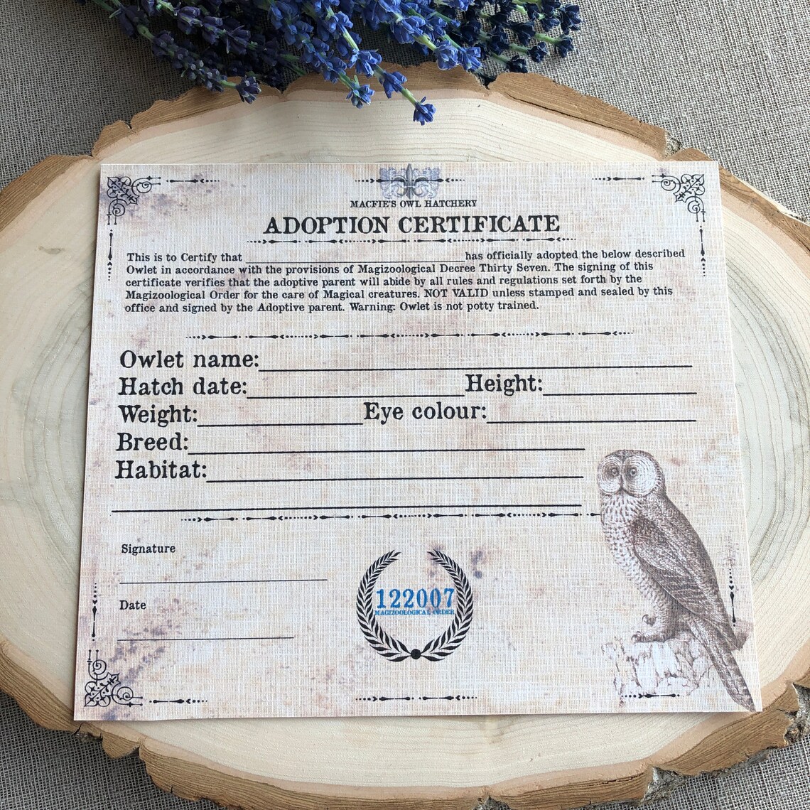 Owl Adoption Certificate Owl Certificate Instant Download | Etsy Canada