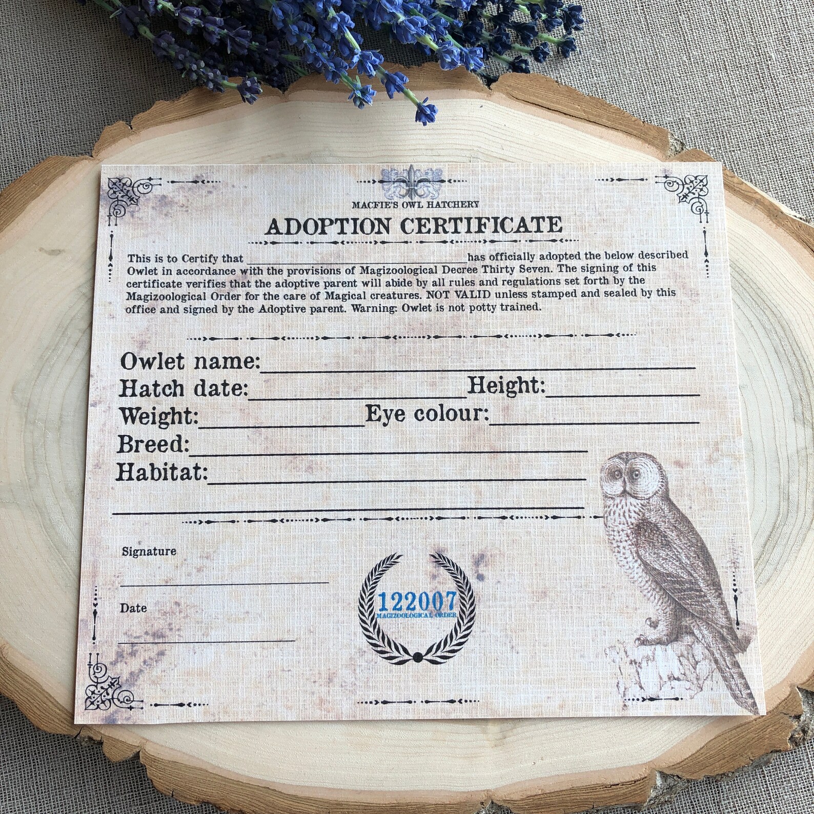 Owl Adoption Certificate Owl Certificate Instant Download - Etsy