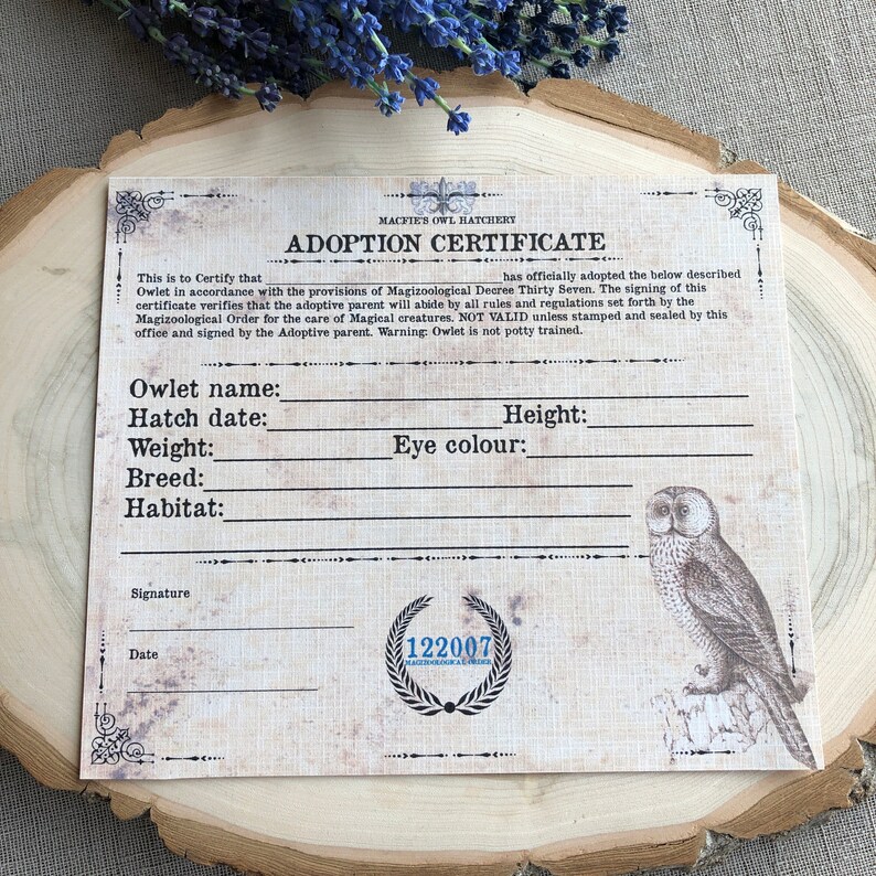 Owl Adoption Certificate Owl Certificate Instant Download | Etsy Canada