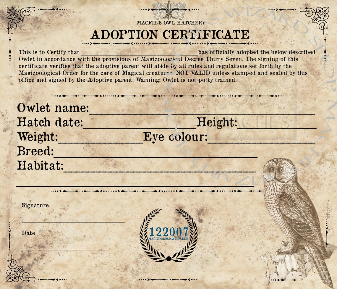 Owl Adoption Certificate Owl Certificate Instant Download | Etsy Canada