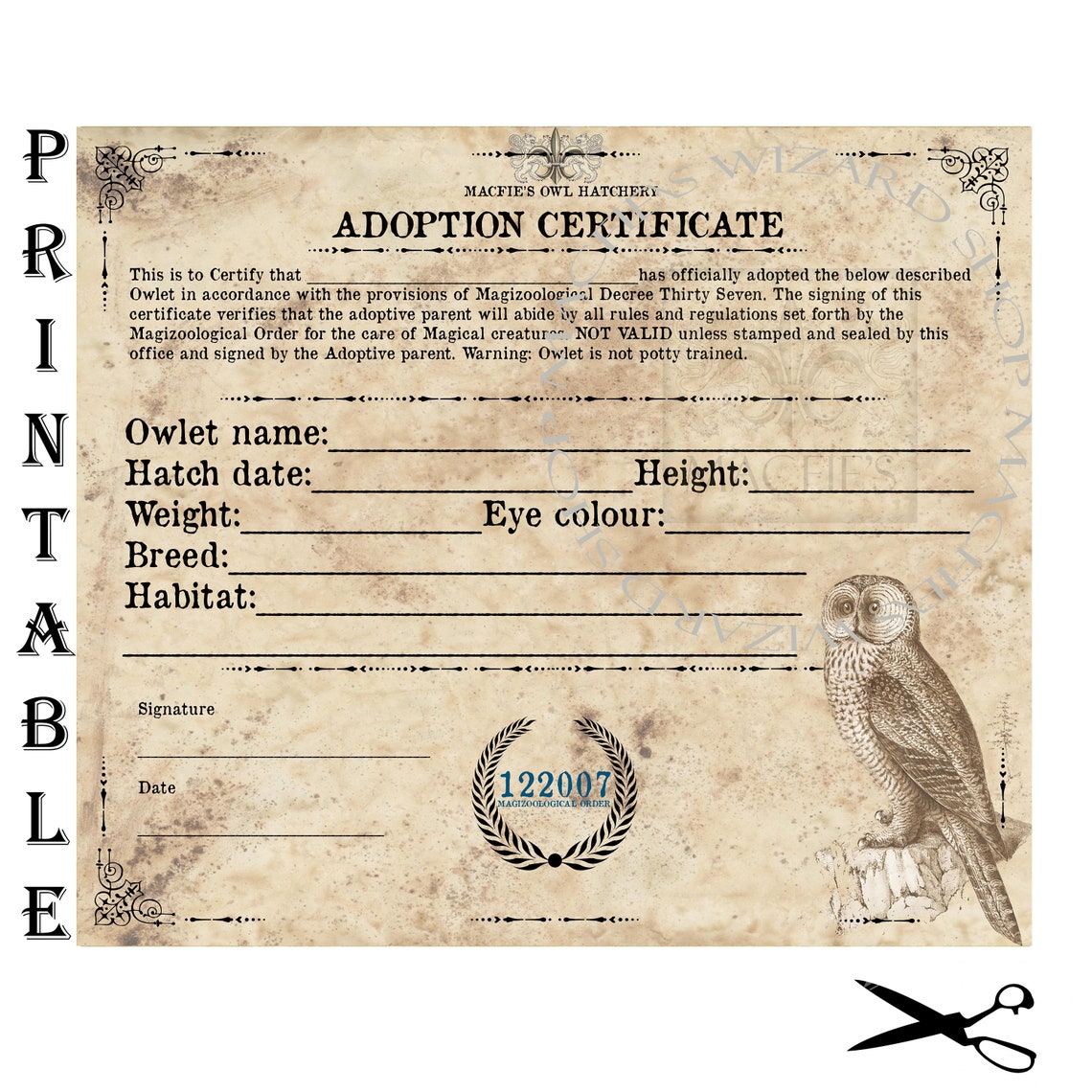 Owl Adoption Certificate Owl Certificate Instant Download | Etsy Canada