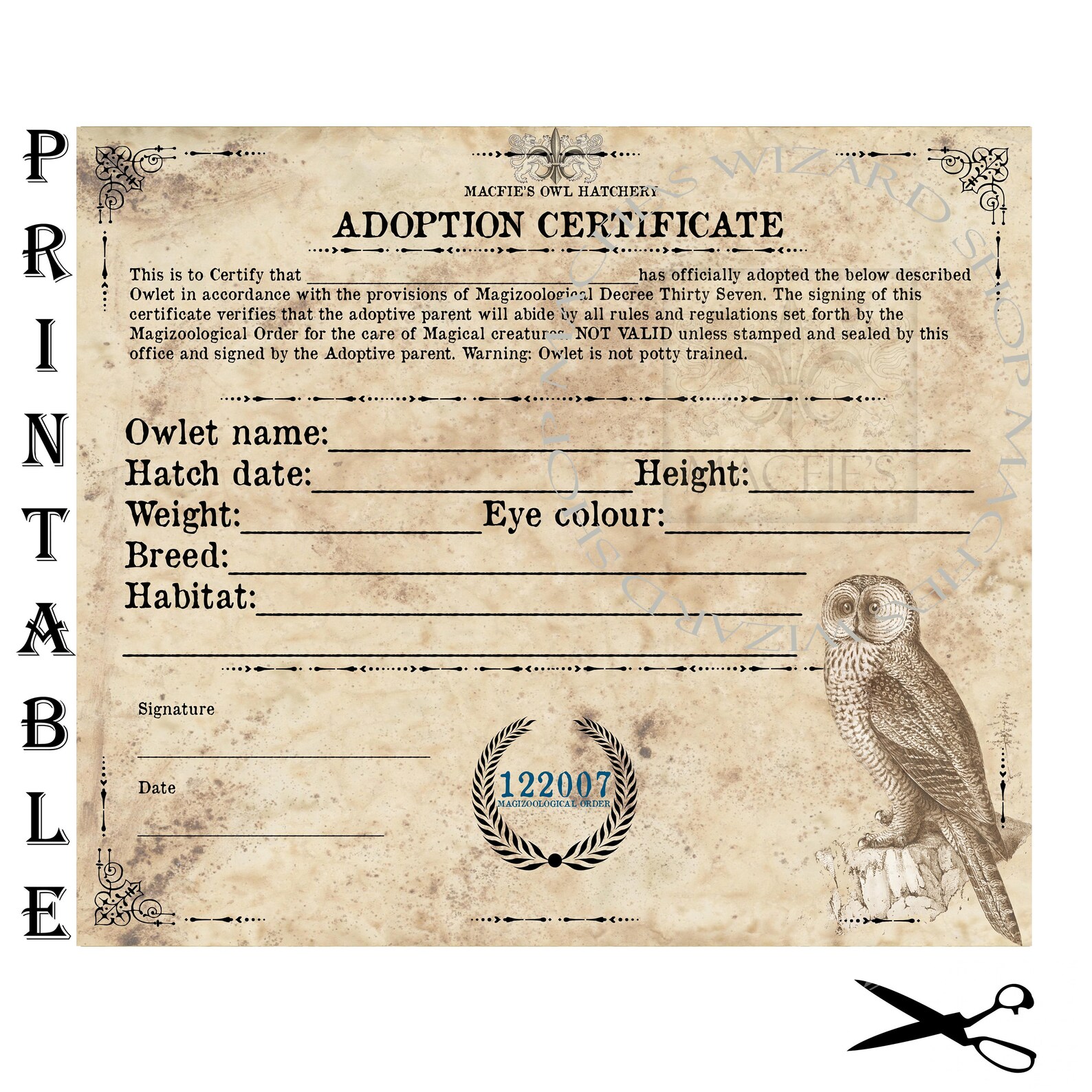 Owl Adoption Certificate Owl Certificate Instant Download | Etsy Canada