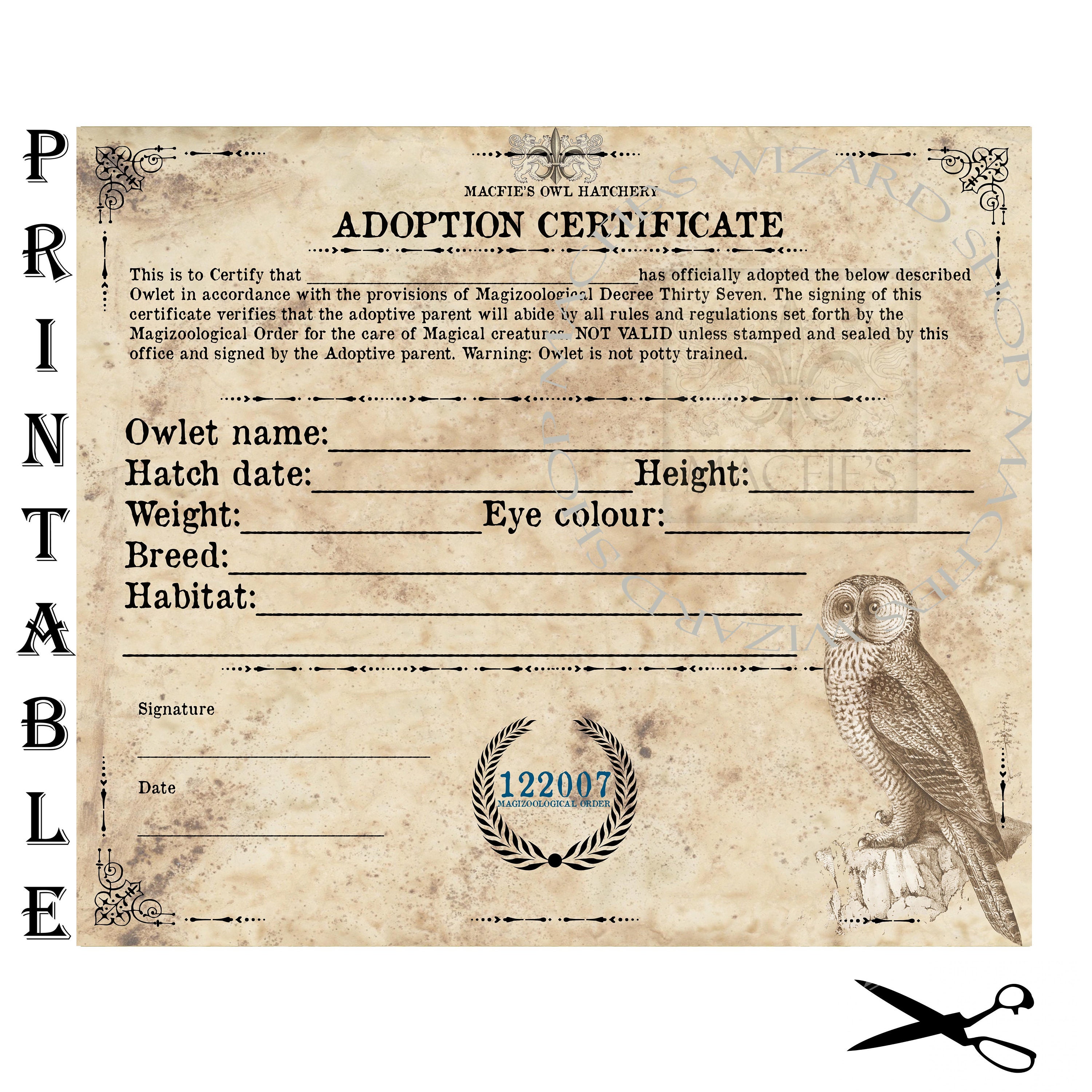 Owl Adoption Certificate Owl Certificate Instant Download Etsy 日本