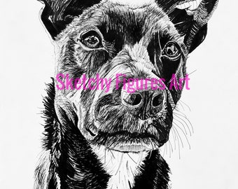 Dog Portrait- Pet Portrait - Custom Pet Portrait - Personalized Pet Art- Hand Drawn Pet