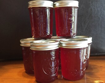 Pickly Pear Cactus Jelly (regular amount of sugar recipe) (8oz.)