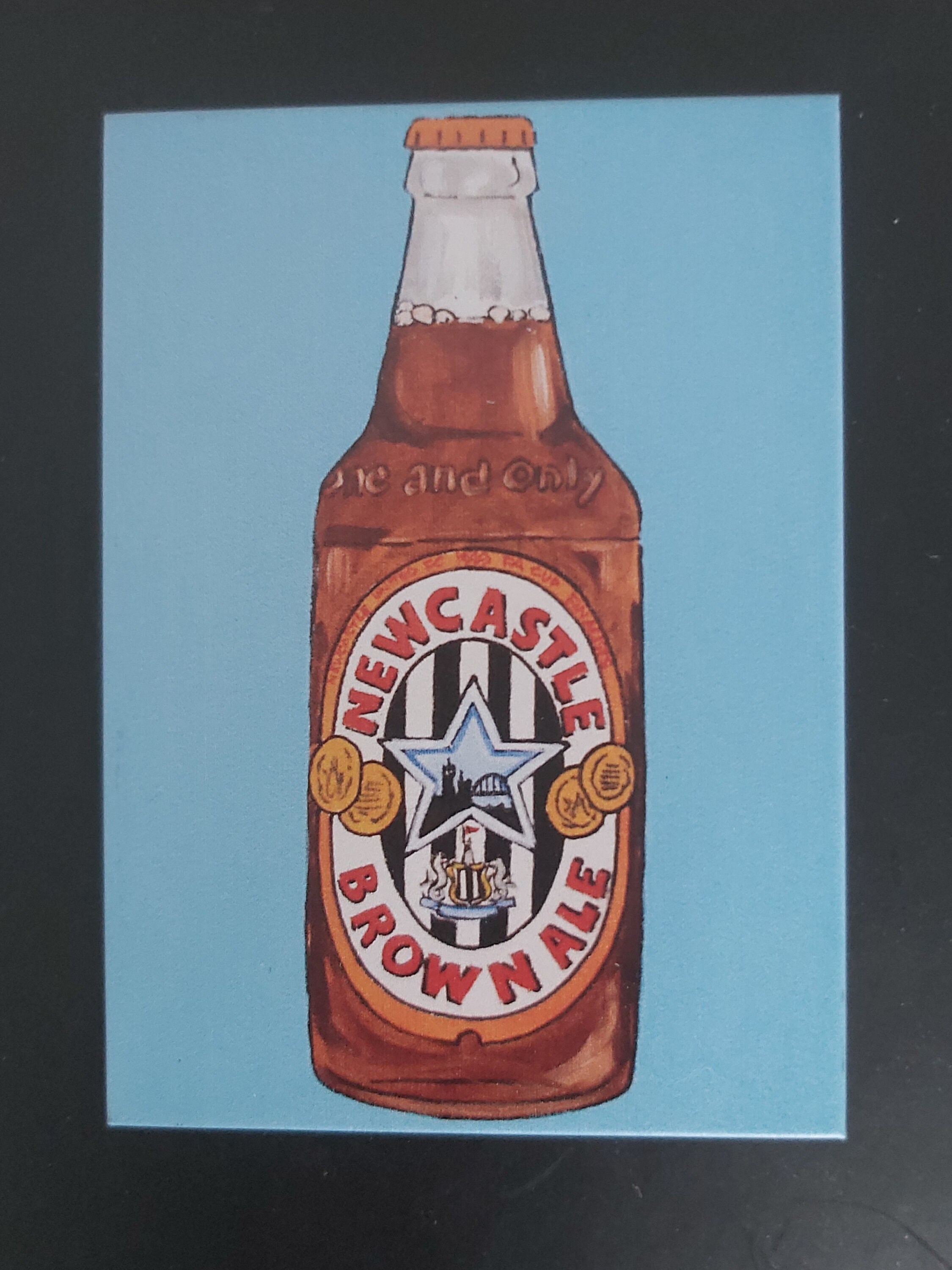 Newcastle Brown Ale Bottle Etsy