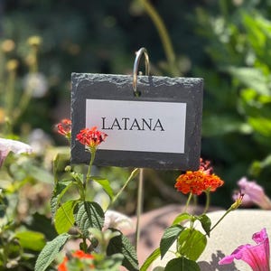 Customized Hanging Slate Plant Marker -  Reusable Garden Markers -  Plant Maker -  Tree Markers -Plant Tags - Gifts - Slate Marker \ XO