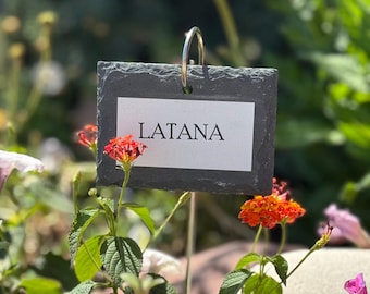 Custom Slate Plant Marker - Reusable Hanging Garden Tag