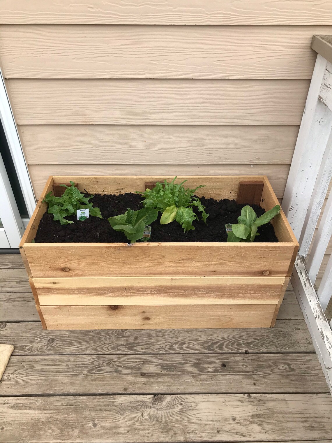 Cedar Garden Bed / Deck Garden Box / Patio Garden / Tomato Etsy