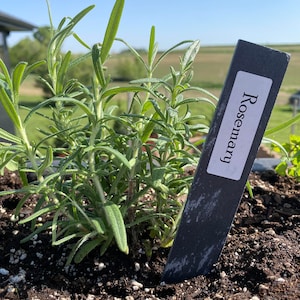 20 Pack of Slate Garden Stakes w/ Labels & Oil Based Paint Pen |  Reusable Garden Markers | Plant Maker |  Spring Gifts | Slate Marker | WO