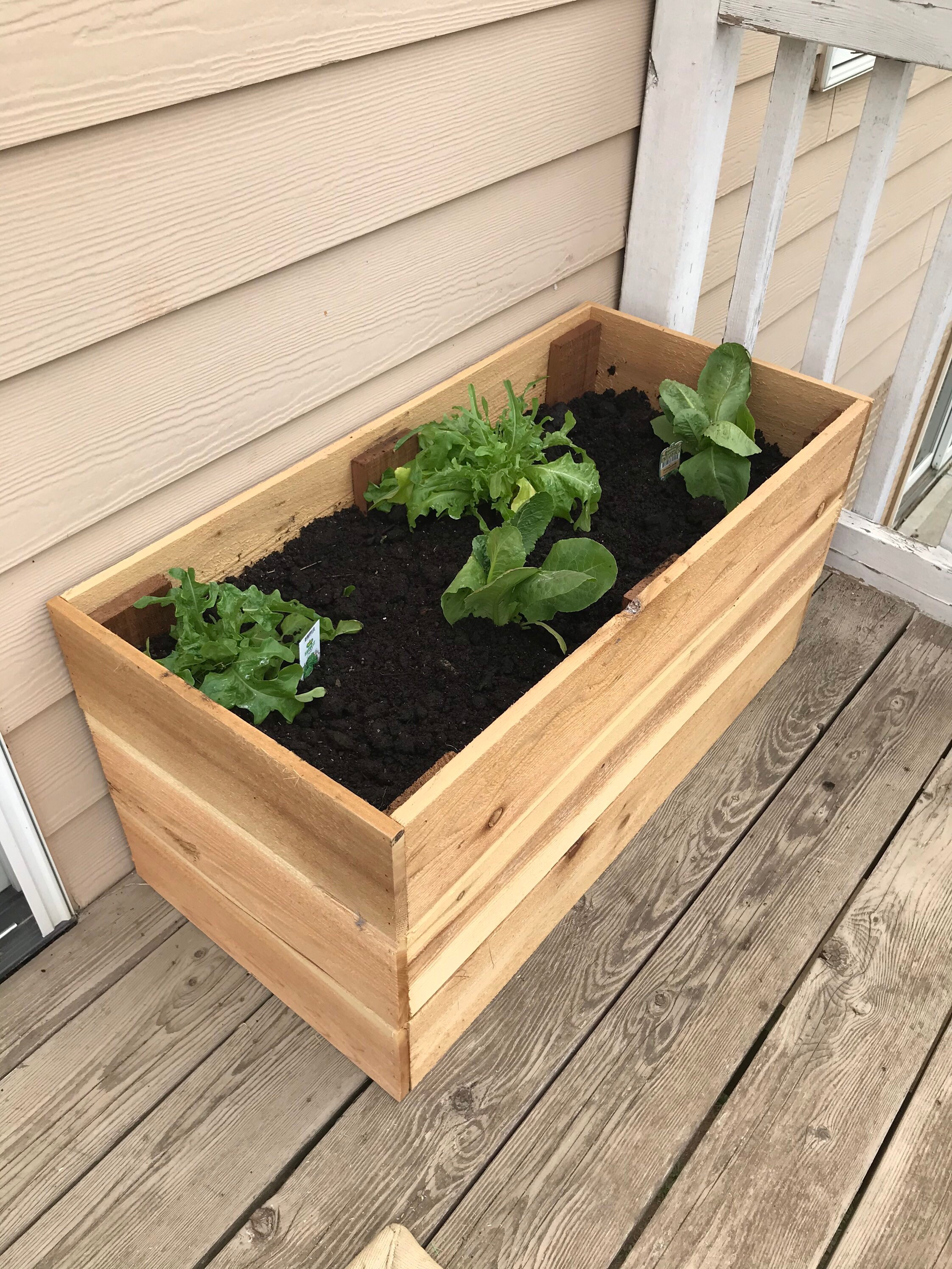 Cedar Garden Bed / Deck Garden Box / Patio Garden / Tomato Etsy