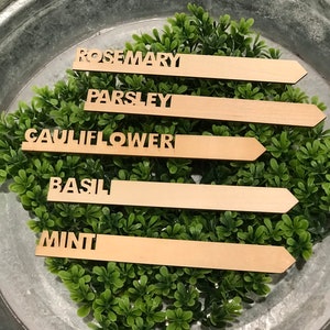Natural Wood Garden Markers / Plant Tags / Garden Solutions / Herb Markers / Vegetables  / Garden Stakes / Planter Earth / Mothers Day