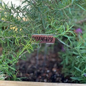 20, 40, 80 Packs of Copper Garden Markers / Custom Plant Stakes / Plant Labels bild 6