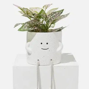 Happy Feet Flower Pot W/ Dangling Legs Happy Desk Planter Leg Planter ...