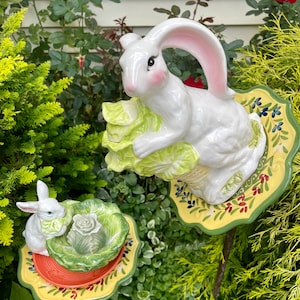 Cabbage tea
