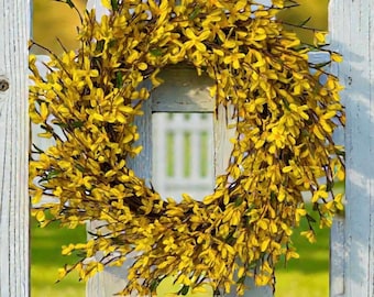 Forsythia Spring Wreath / Yellow Silk Forsythia Flowers on Grapevine Base