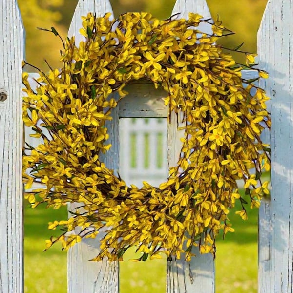 Forsythia Spring Wreath / Yellow Silk Forsythia Flowers on Grapevine Base