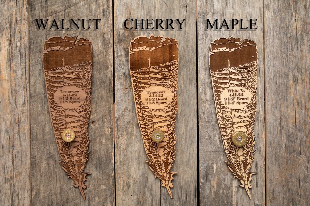 Turkey Display, Turkey Hunting, Gifts for Hunters, Turkey Fan Display Etsy