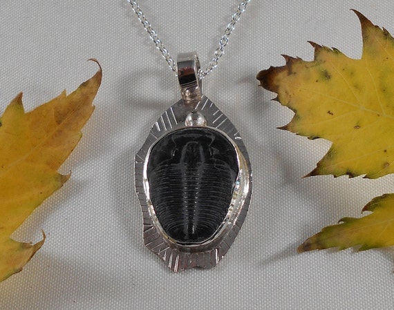 Beautiful Specimen Trilobite Fossil Necklace Sterling Silver | Etsy