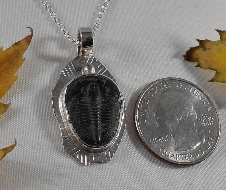 Beautiful Specimen Trilobite Fossil Necklace Sterling Silver - Etsy