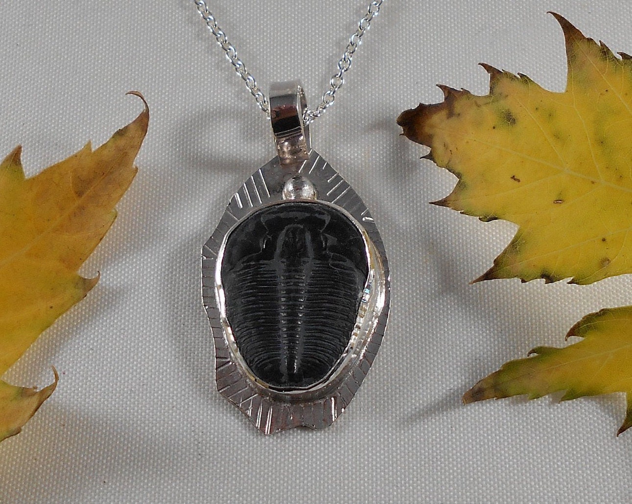 Beautiful Specimen Trilobite Fossil Necklace Sterling Silver - Etsy