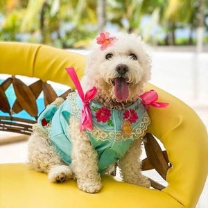 Mexican Dog Dress Huipil Yucatecan Dog Hipil Dog Huipil Yucatan Mexico Pets Linen Hipil Dog Dress Mexican Gift Blue Aquamarine
