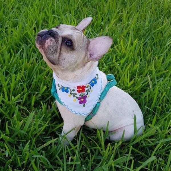 Mexican Dog Bandana, Flowers Spring bandana, Over collar dog bandana | Mexican Dog Pet Collar | Dog gift | Regalo Mexicano | Yucatan Pet