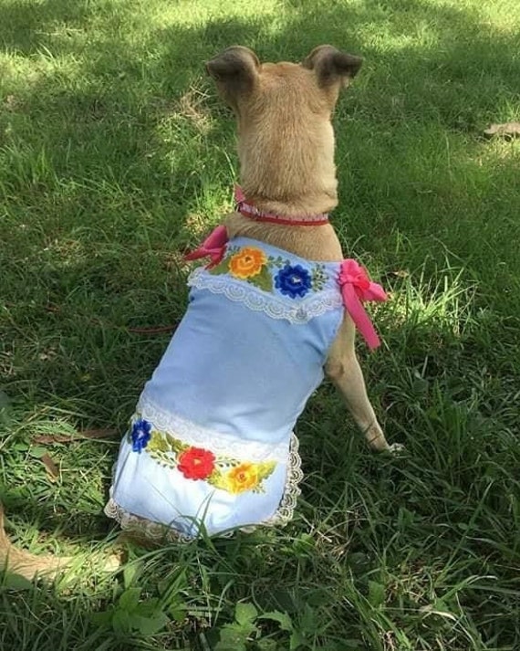 mexican dog dress
