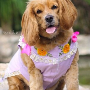 Mexican Dog Dress Huipil Yucatecan Dog Hipil Dog Huipil Yucatan Mexico Pets Linen Hipil Dog Dress Mexican Gift Purple