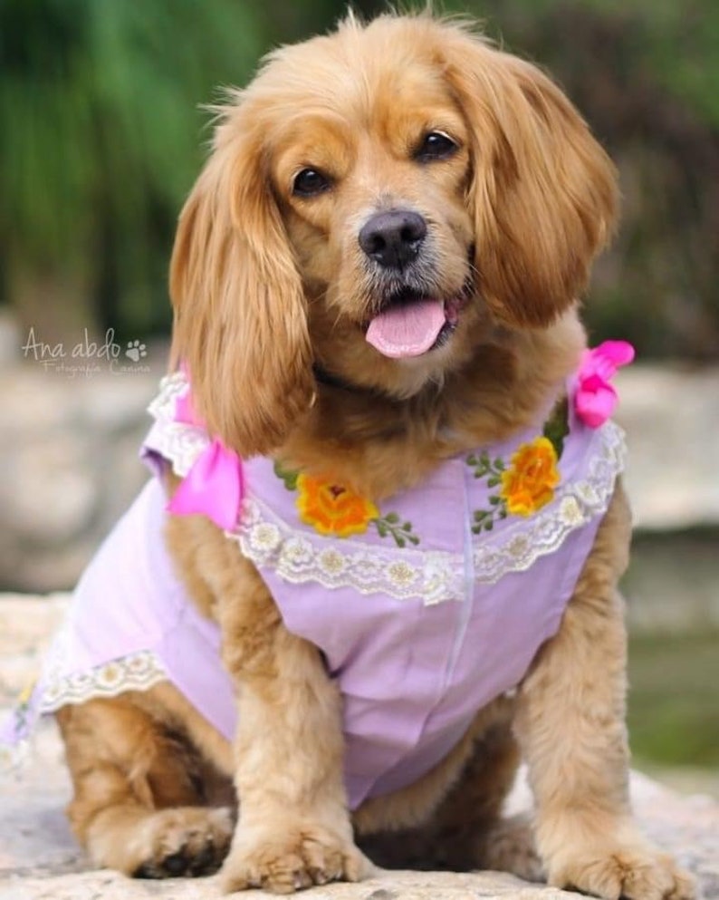 Mexican Dog Dress Huipil Yucatecan Dog Hipil Dog Huipil Yucatan Mexico Pets Linen Hipil Dog Dress Mexican Gift Purple