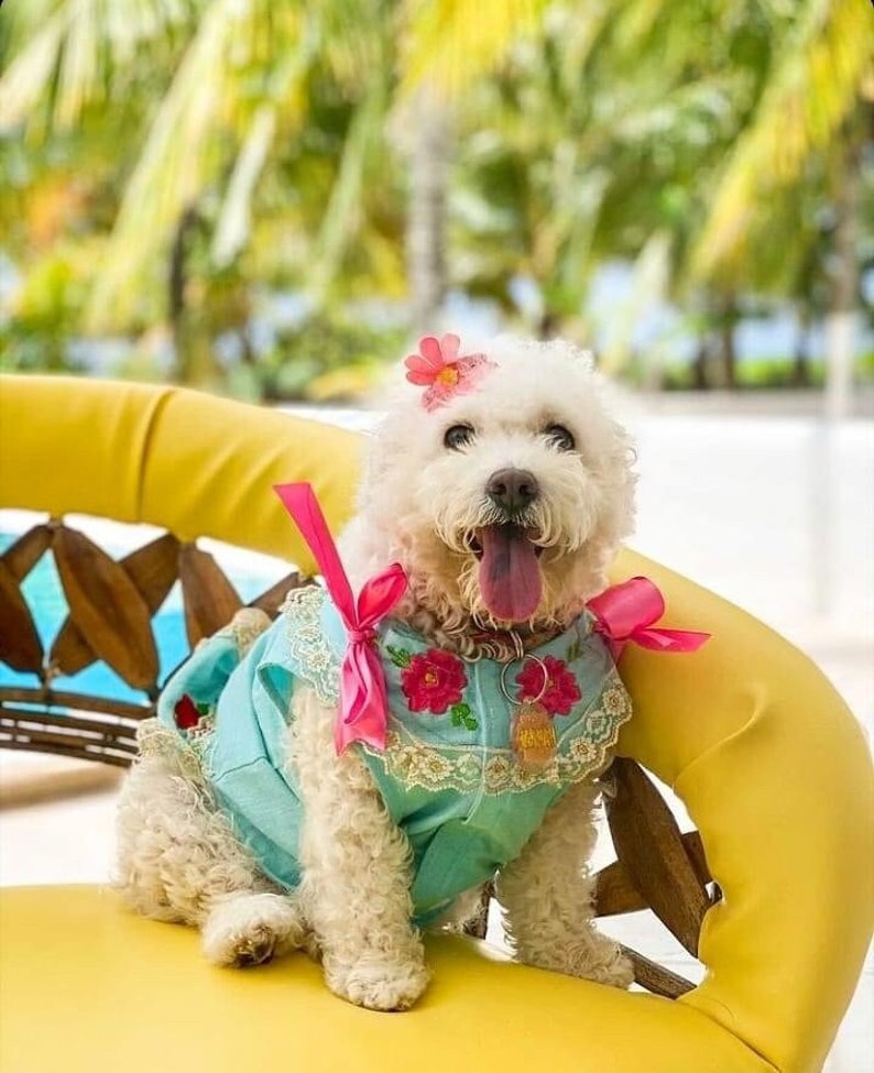 Mexican Dog Dress Huipil Yucatecan Dog Hipil Dog Huipil Yucatan Mexico Pets Linen Hipil Dog Dress Mexican Gift Blue Aquamarine