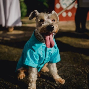 Mexican Dog Guayabera, Mexican dog shirt, Yucatan Pet, Dog embroidered guayabera, Handmade, Dog Cinco de Mayo, Yorkie, Schnauzer, Frenchie