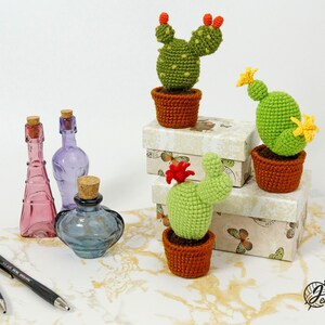 Cactus Collection crochet PATTERN, Amigurumi cactus plant, Crochet prickly pear tutorial. PDF file English image 10