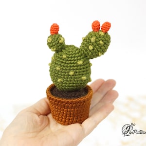 Cactus Collection crochet PATTERN, Amigurumi cactus plant, Crochet prickly pear tutorial. PDF file English image 5