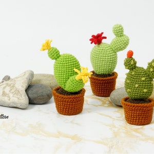 Cactus Collection crochet PATTERN, Amigurumi cactus plant, Crochet prickly pear tutorial. PDF file English image 4