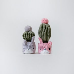 crochet pattern-cactus in the facepotPDF/ENG image 7