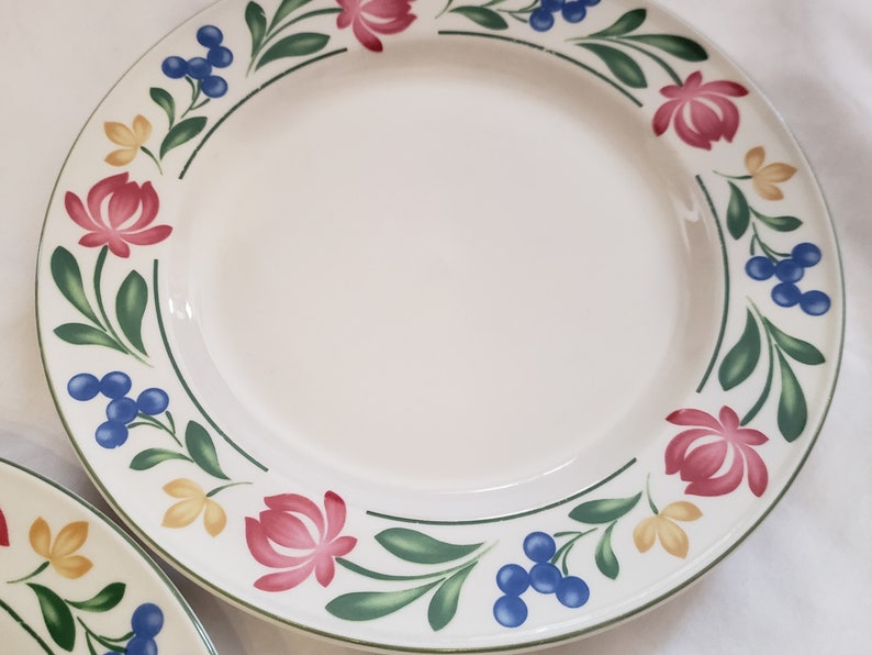 Farberware Dorchester 388 10.5\u201d Dinner Plates Pink Yellow Flowers
