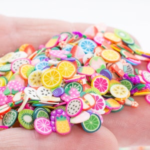 Polymer Clay Fruit Slices