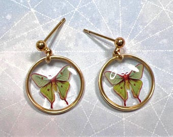 Custom Moth Ellie Earrings