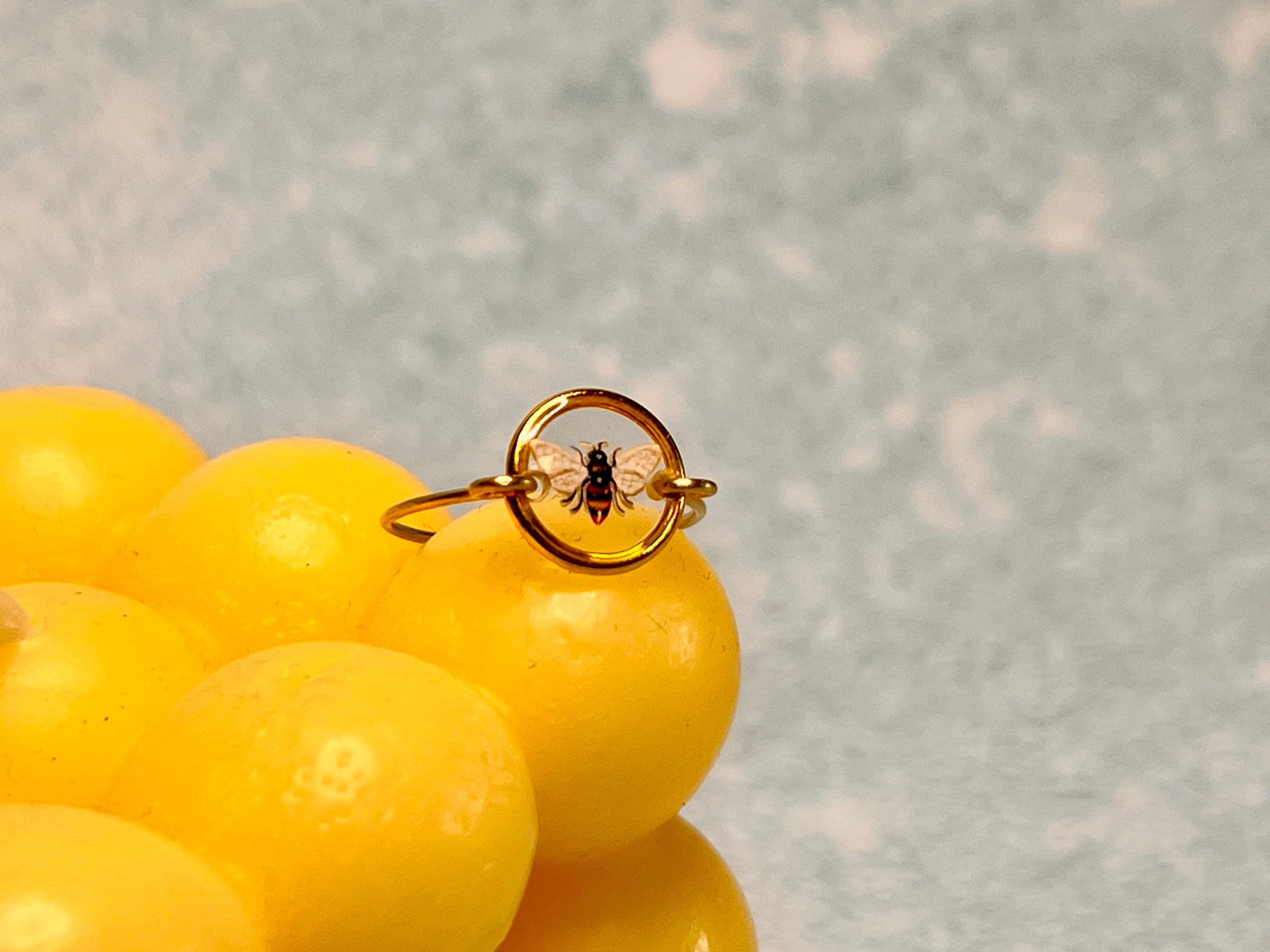 You bug Me - Heart shape resin ring with brass bug inside