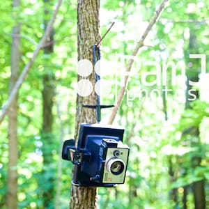 Vintage Camera, Nature, Photograph, Photography Wall Art
