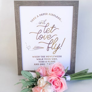 May include: A framed sign with the text "Take a paper airplane... and let love fly!" in gold script. A bouquet of pink and white roses and greenery rests in front of the frame. The frame is a light gray color.