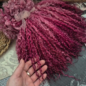May include: A bundle of vibrant, curly wool in shades of pink and magenta, tied with a delicate, sheer ribbon. The wool's texture is visible, with individual strands creating a voluminous appearance. The image showcases the natural texture and color variations of the fiber.