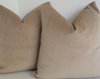Puede incluir: Dos cojines de terciopelo beige de forma cuadrada y diseño sencillo.