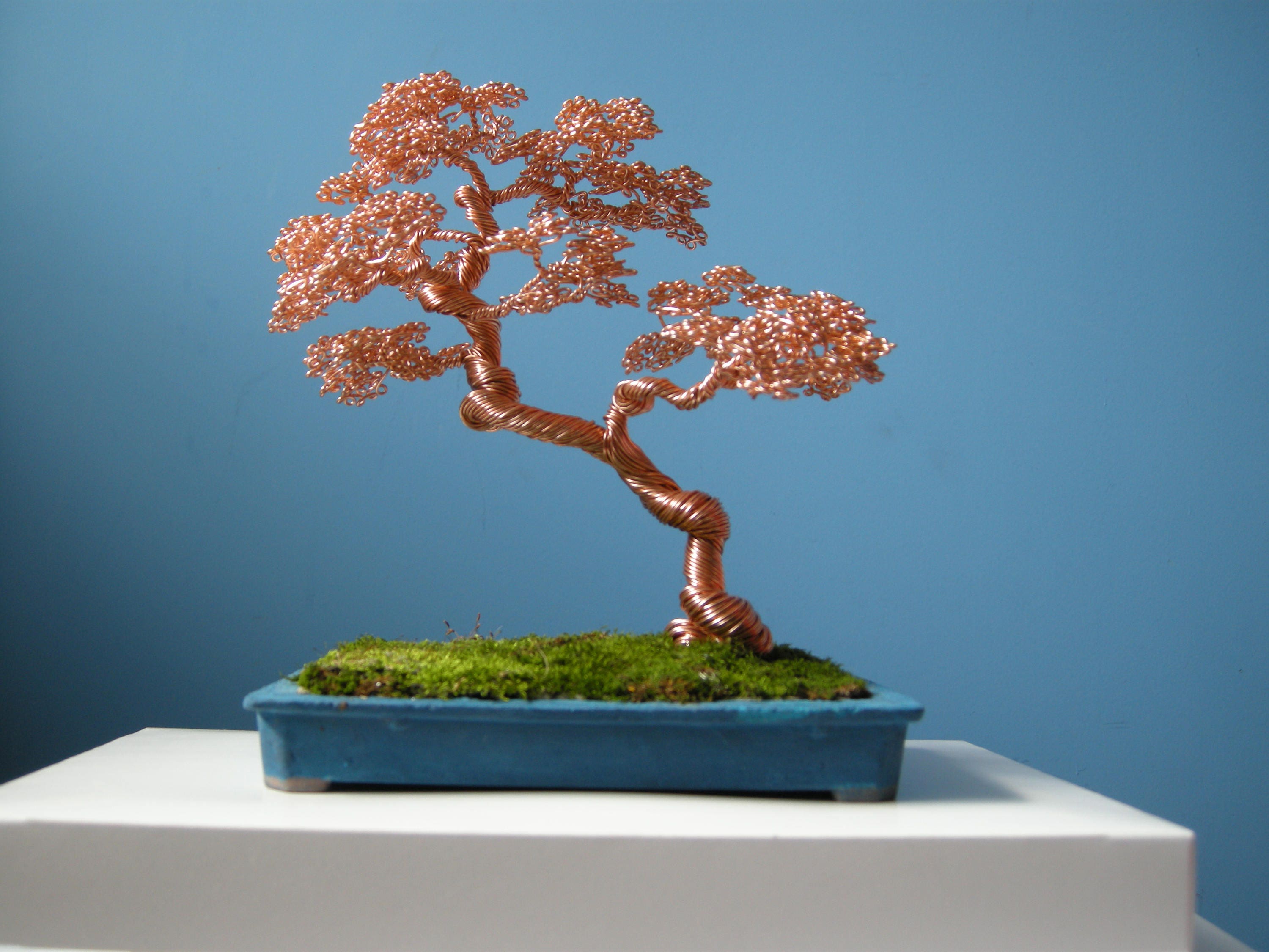 Aluminum Wire Tree Slanting Bonsai style Shakan Best gifts Etsy