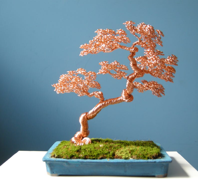 Aluminum Wire Tree Slanting Bonsai style Shakan Best gifts Etsy