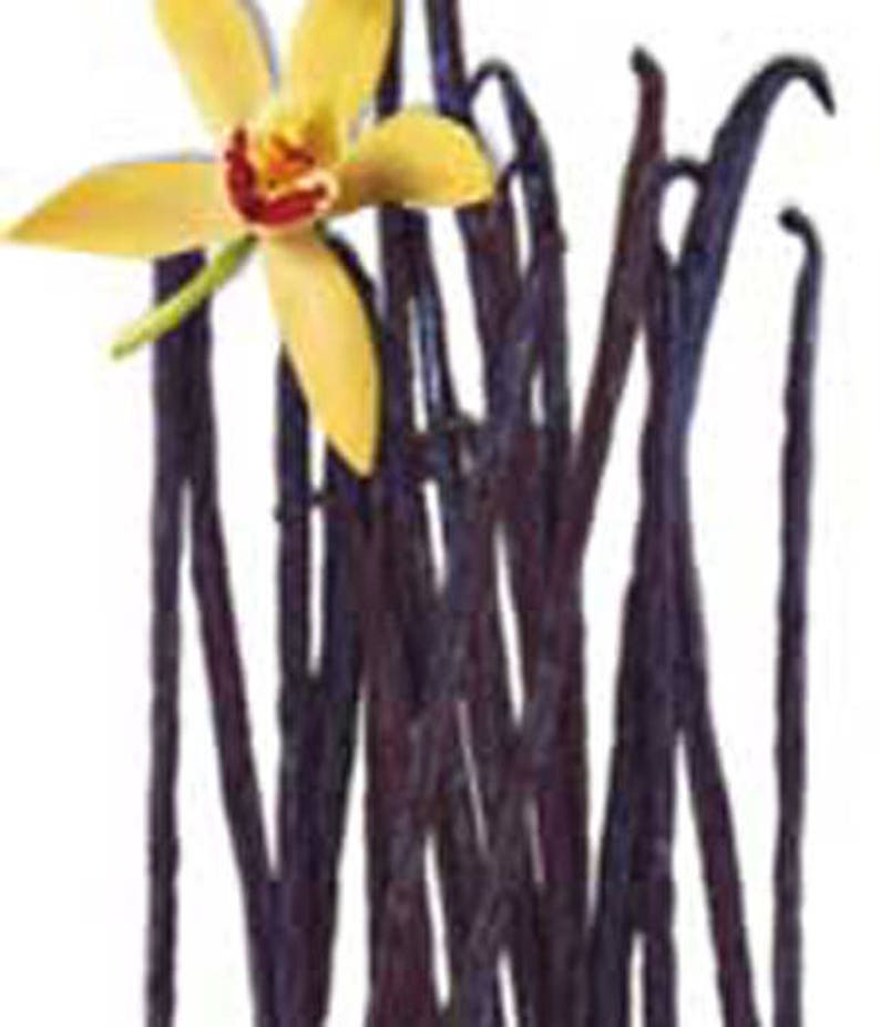 8 Oz Vanilla Fragrance Reed Diffuser Oil Refill With Reeds Etsy