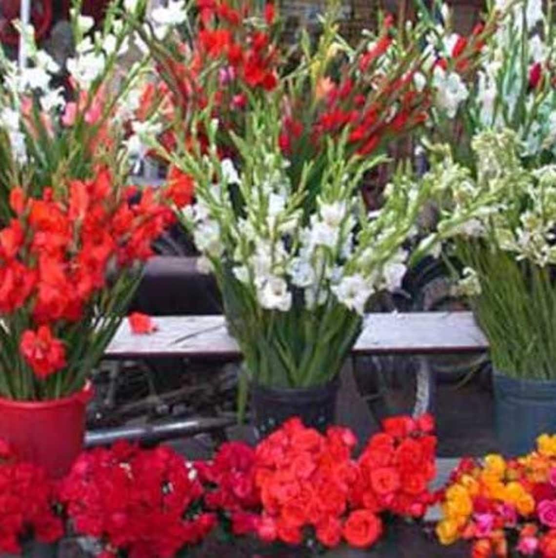 32 Oz Flower Shop Fragrance Reed Diffuser Oil Refill Made in Etsy