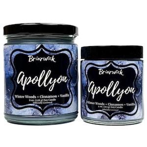 Könnte beinhalten: Zwei Gläser mit Sojawachskerzen mit schwarzen Deckeln. Auf den Etiketten steht "Briarwick Apollyon Winter Woods + Cinnamon + Vanilla". Ein Glas ist 226 g, das andere 113 g. Der Hintergrund der Etiketten ist ein blau-weißes Design.